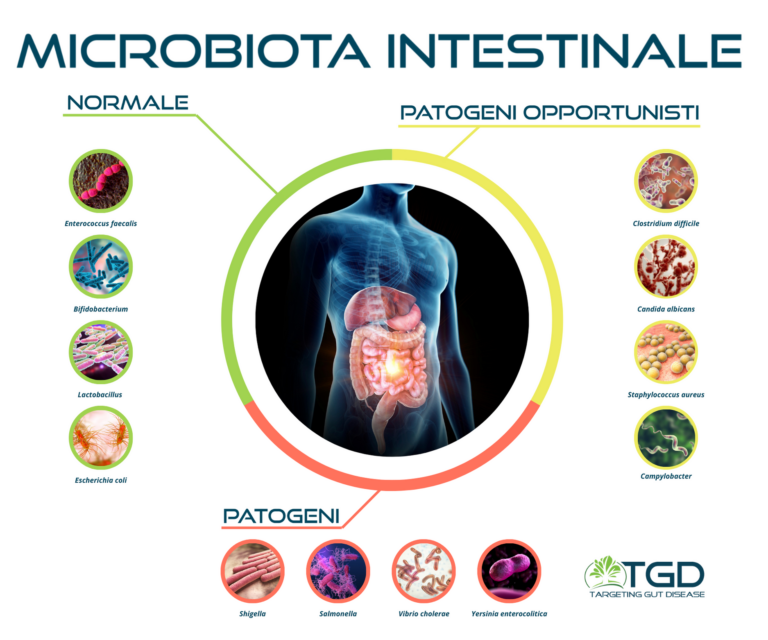 Microbiota Intestinale: Che Cos’è? - TGD