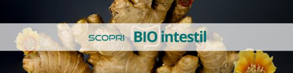 microbiota o microbioma biointestil